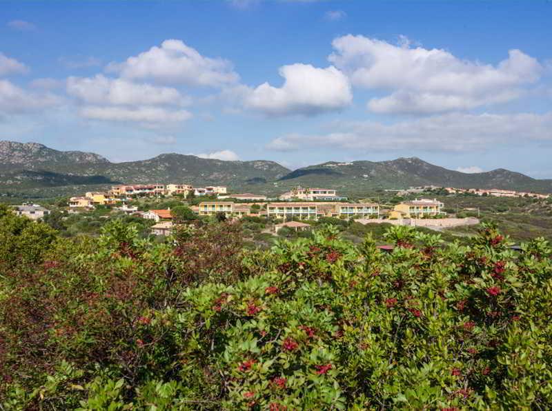 Club Hotel Baia Aranzos Golfo Aranci Extérieur photo